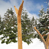 Skis en frêne (Aasmund, Ketill, Ingunn)